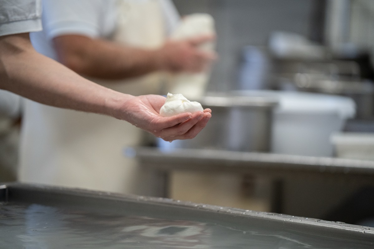 Caseificio Chiatante