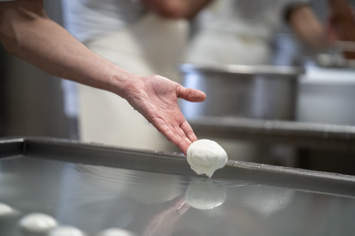 Caseificio Chiatante