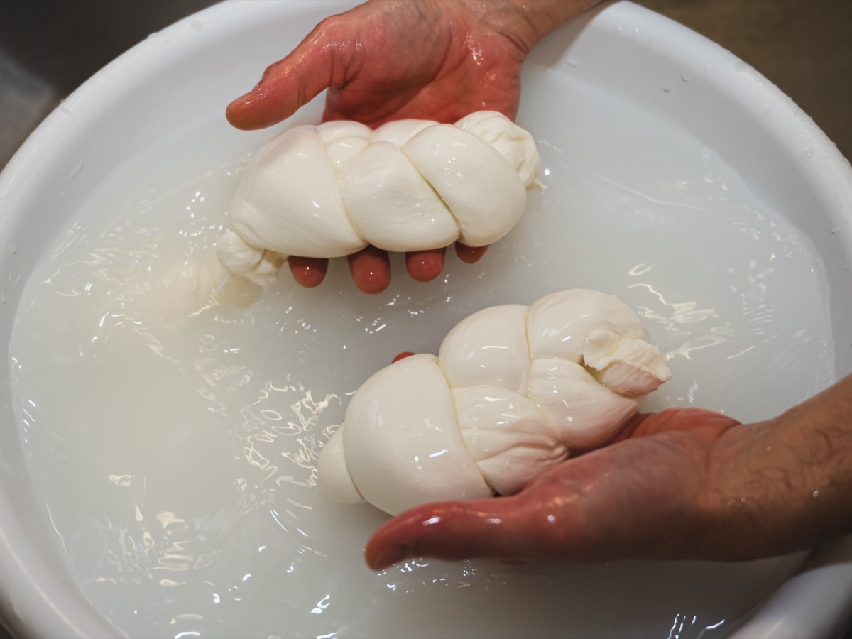 Caseificio Chiatante