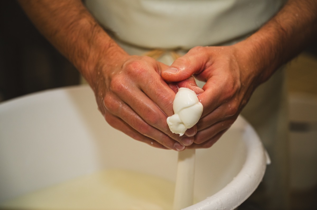 Caseificio Chiatante