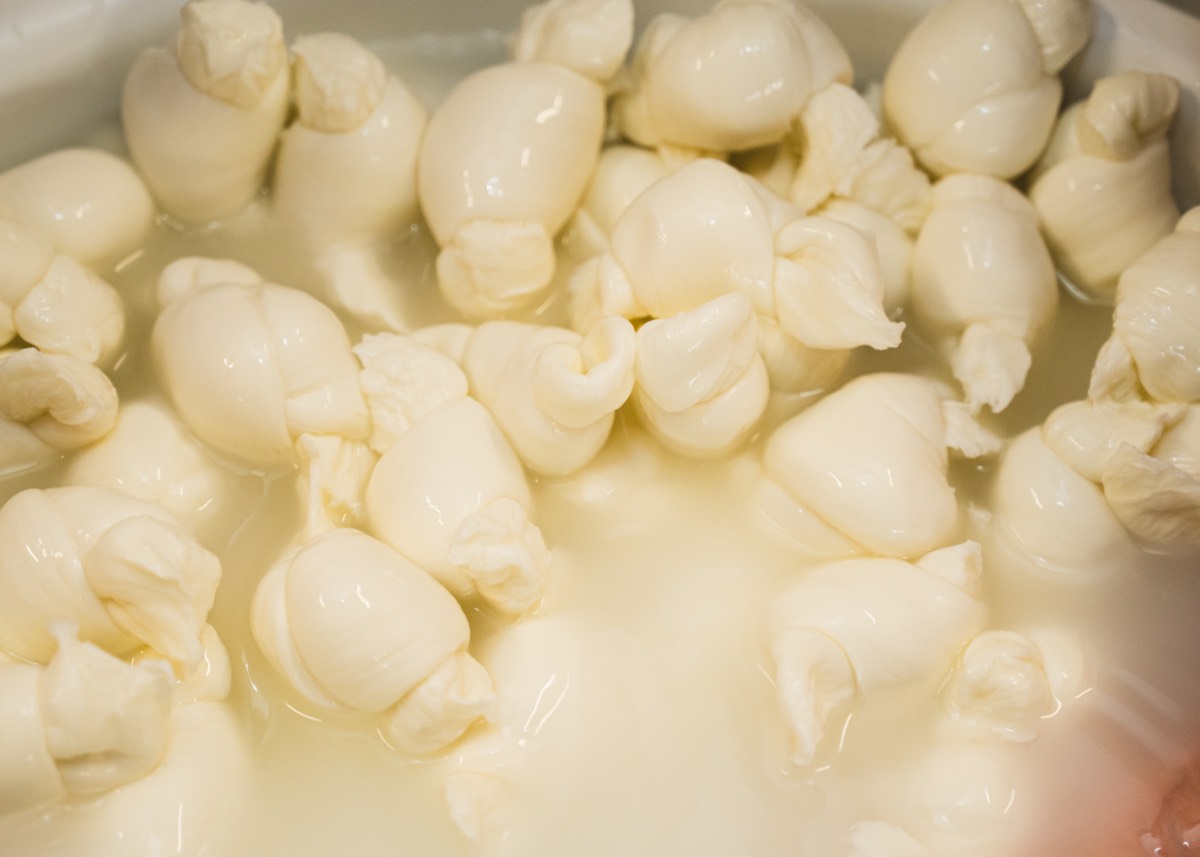 Caseificio Chiatante