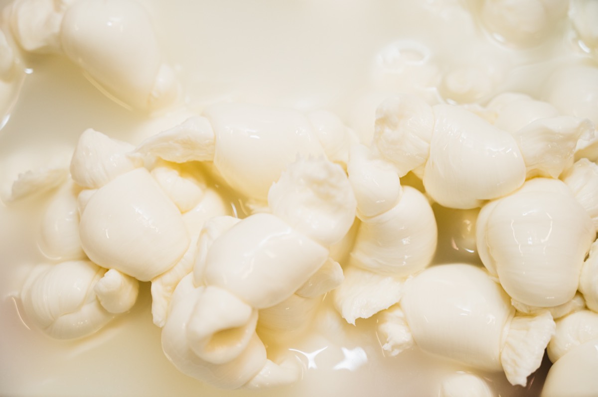 Caseificio Chiatante