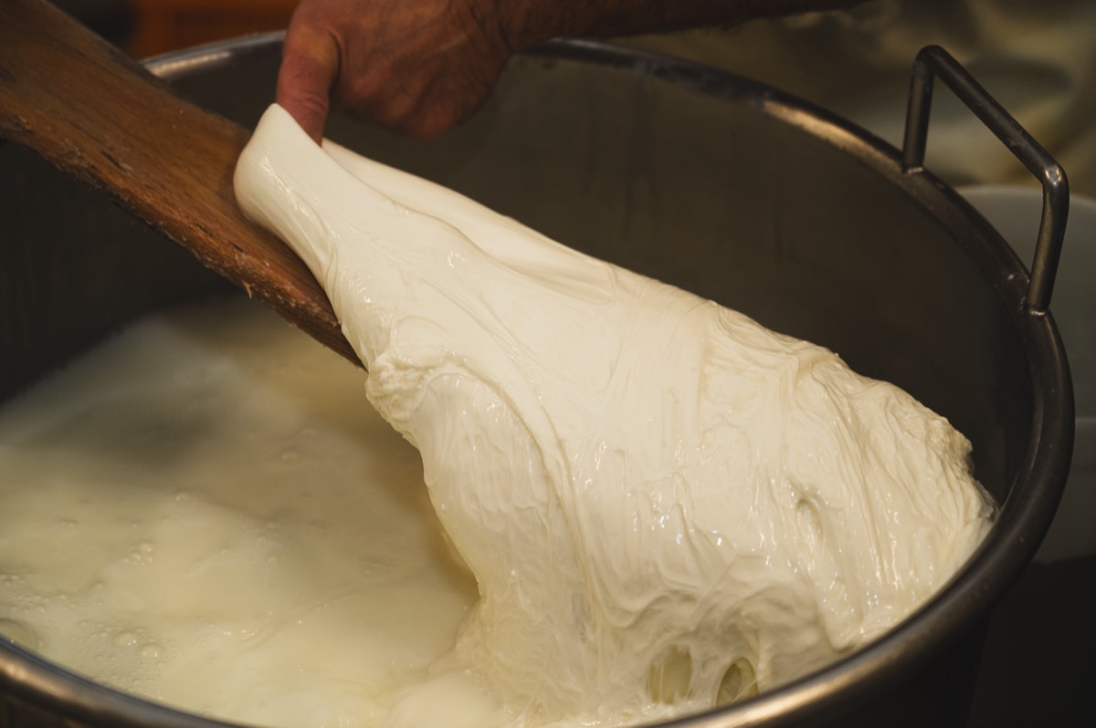 Caseificio Chiatante