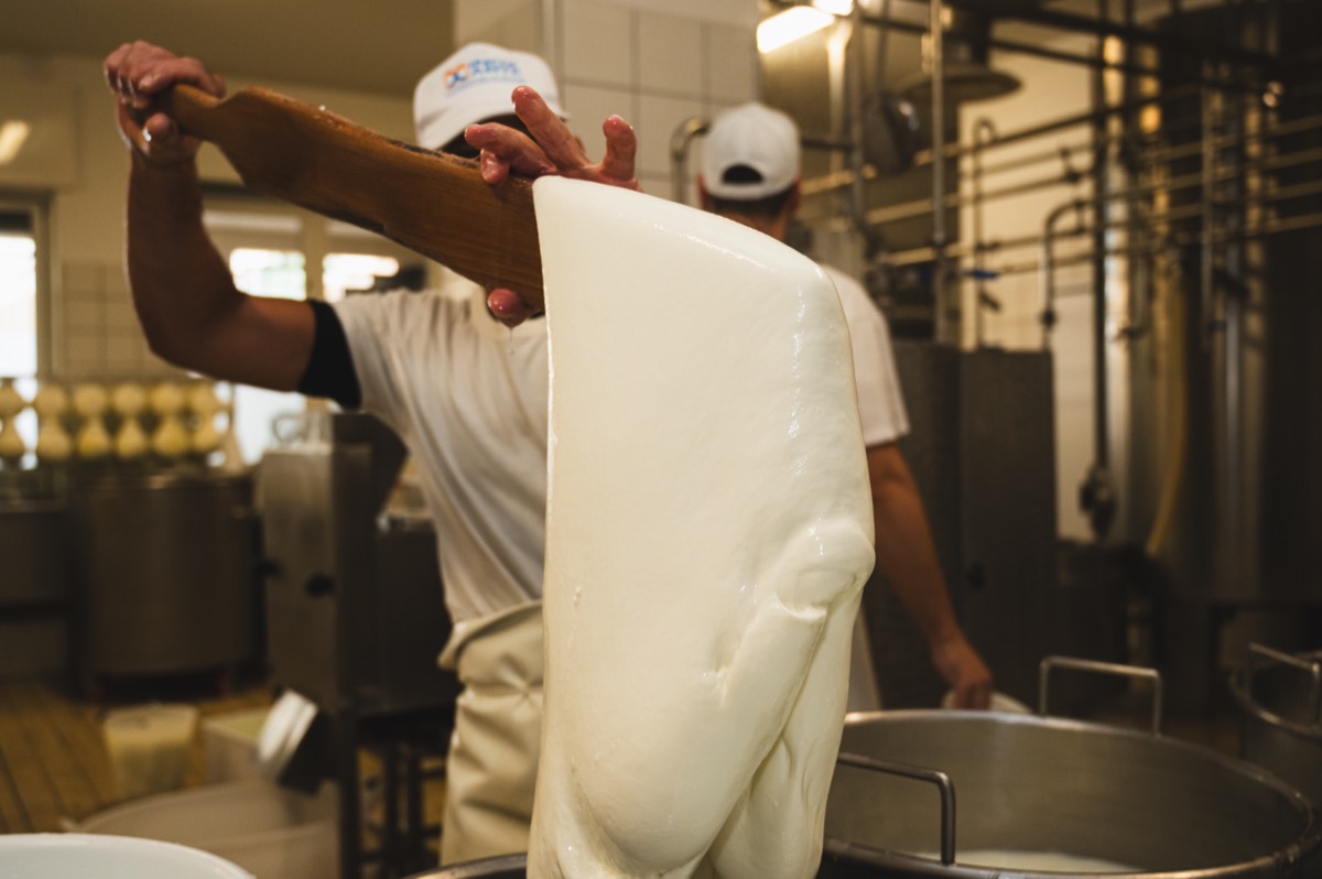 Caseificio Chiatante