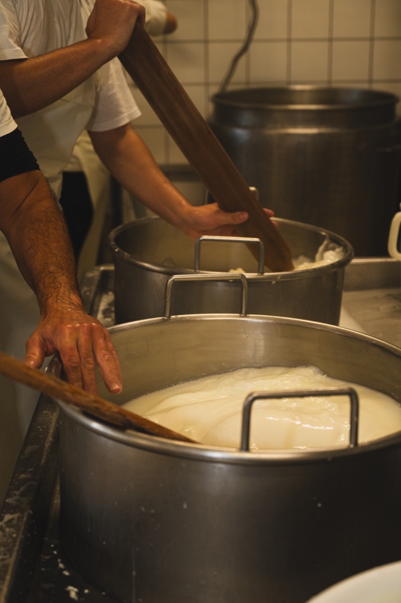 Caseificio Chiatante