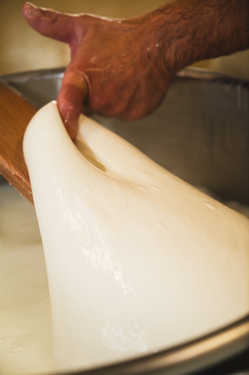 Caseificio Chiatante