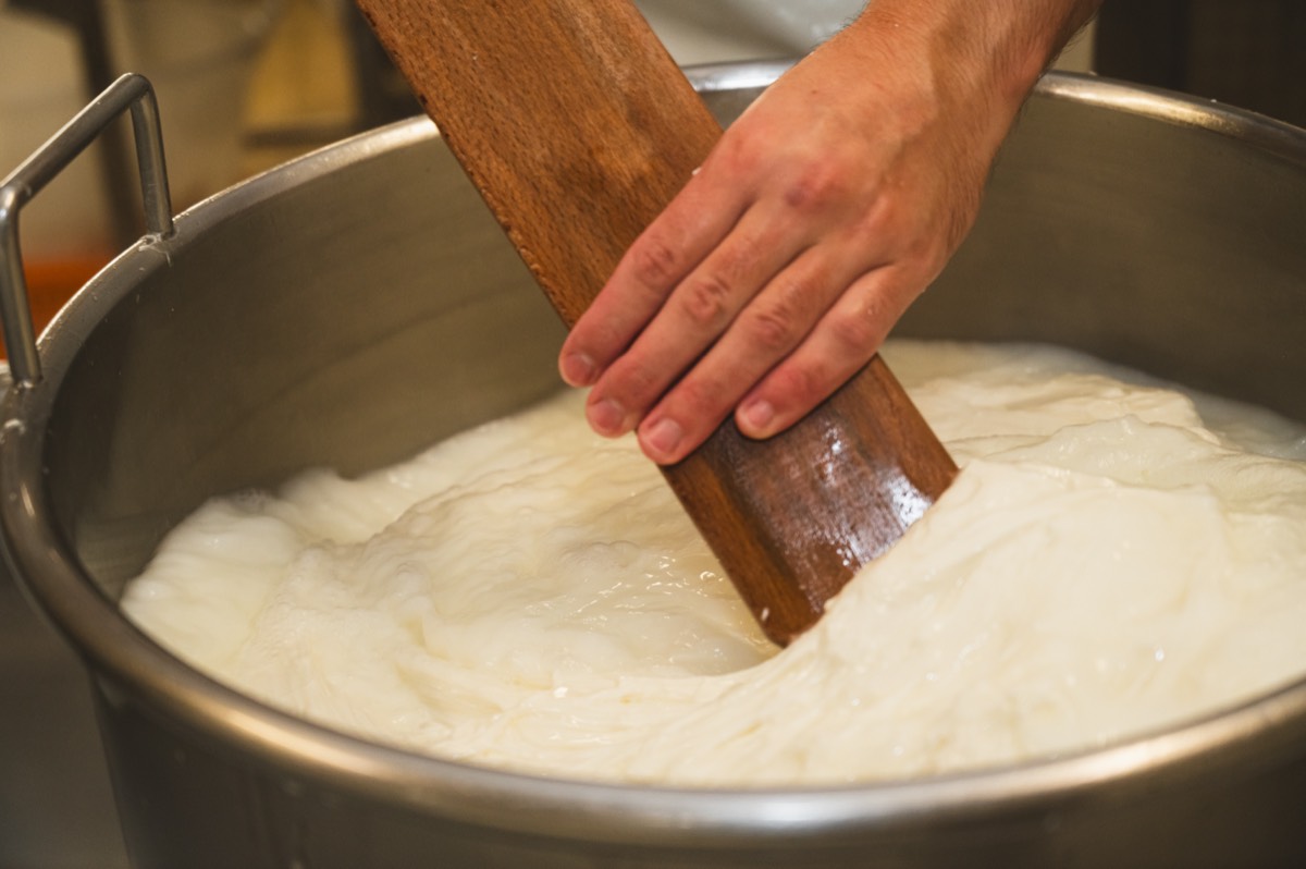 Caseificio Chiatante