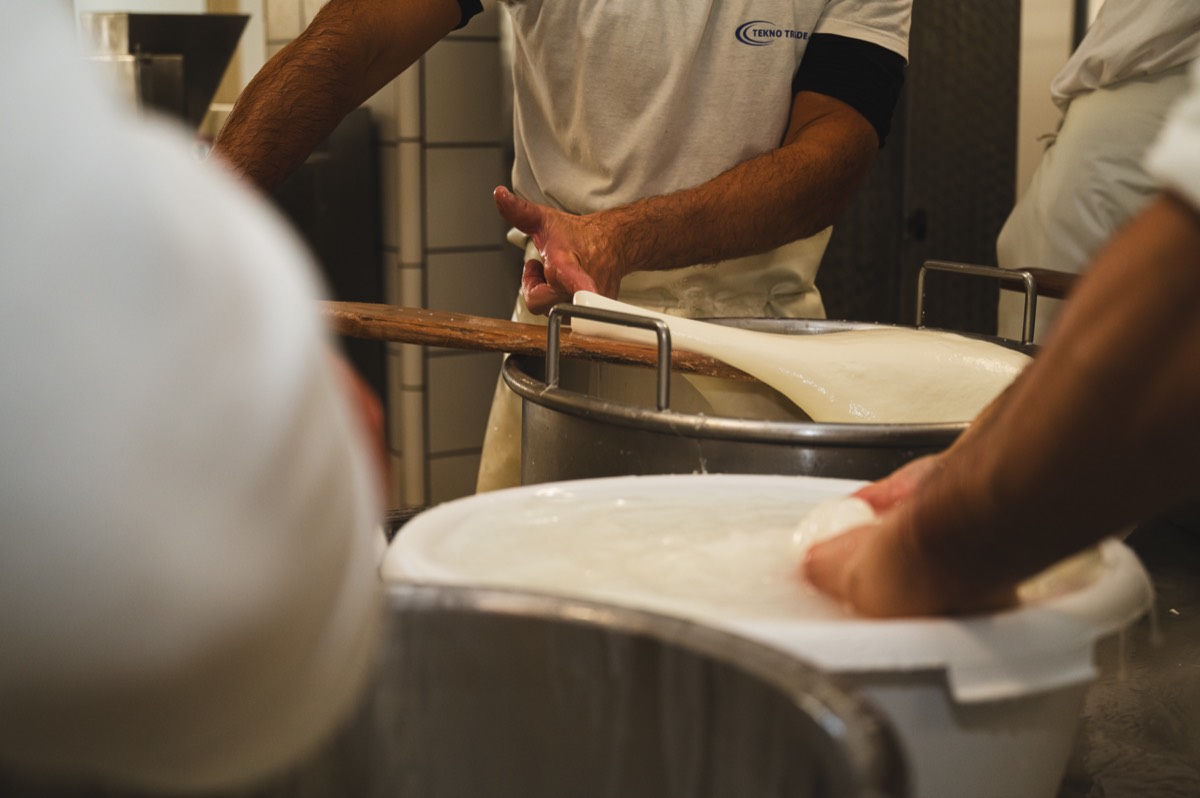 Caseificio Chiatante