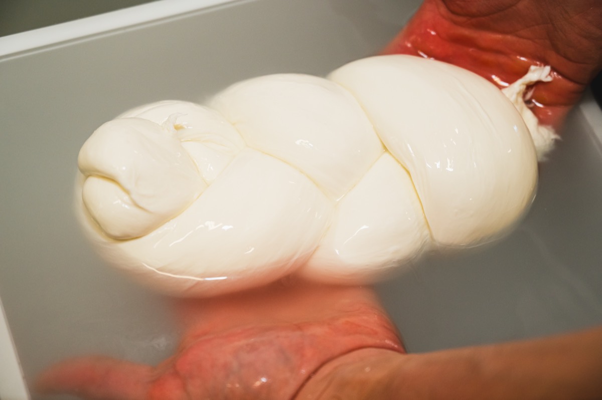 Caseificio Chiatante