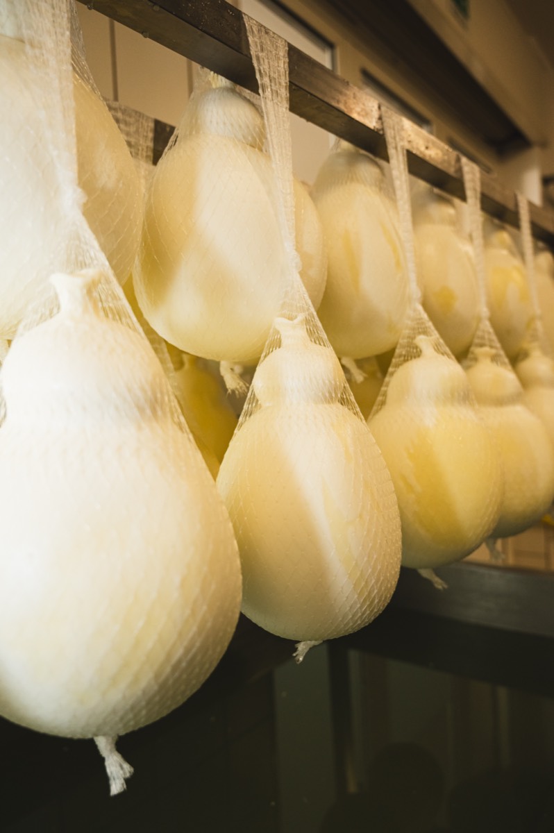 Caseificio Chiatante