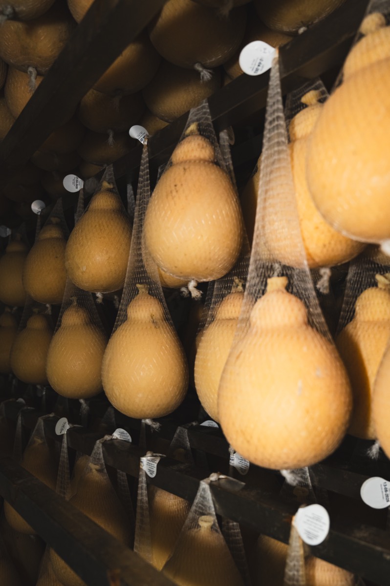 Caseificio Chiatante