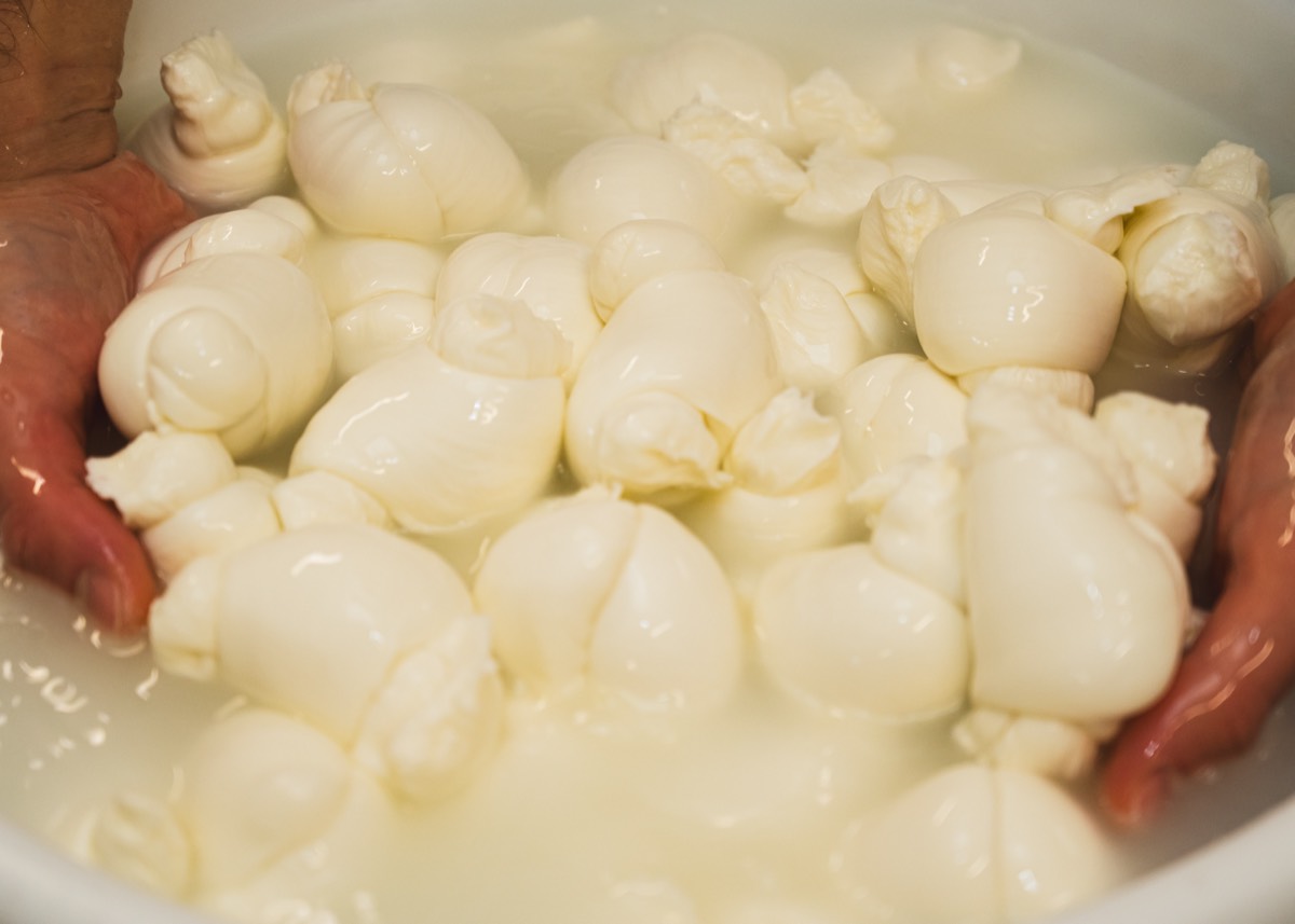 Caseificio Chiatante