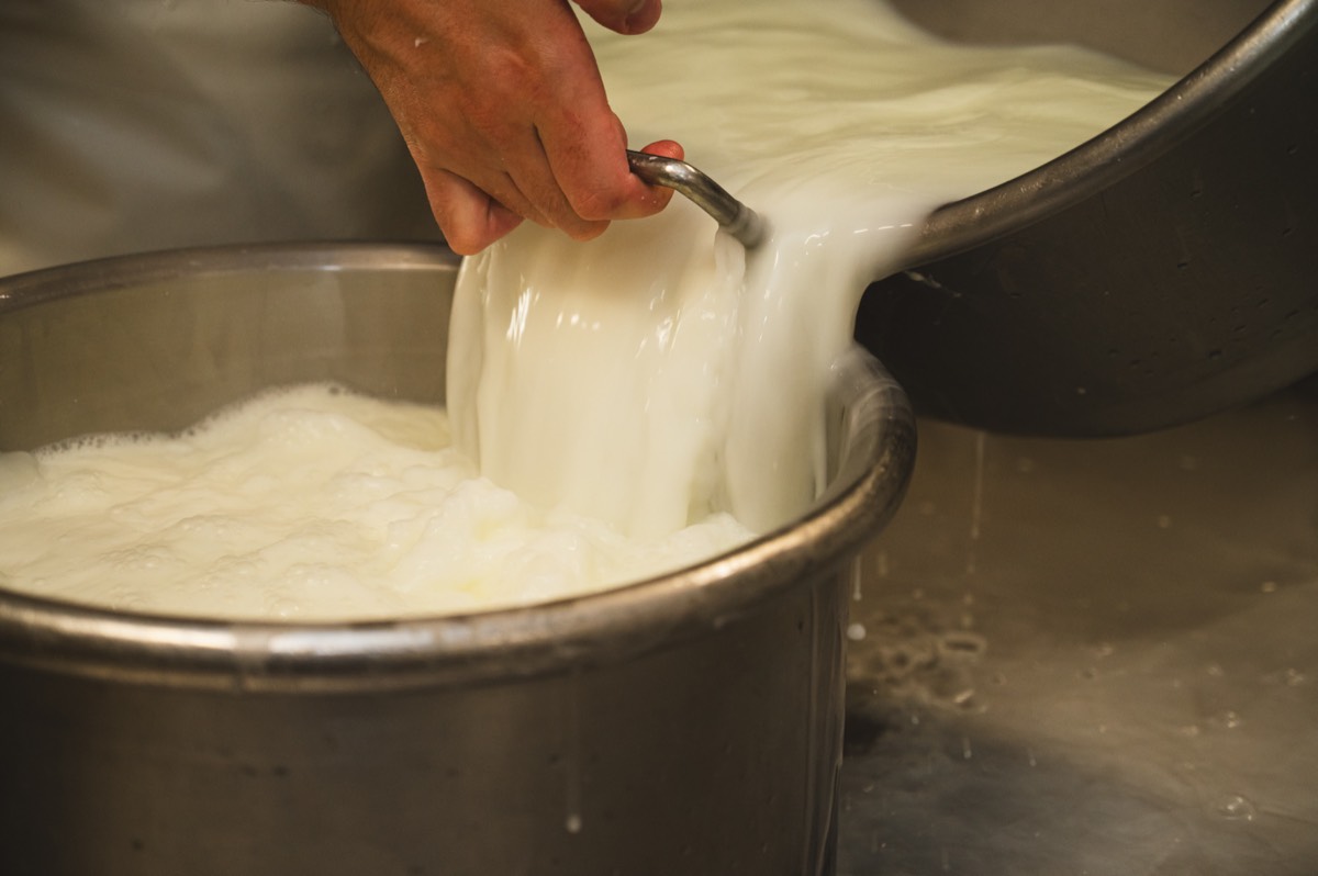 Caseificio Chiatante