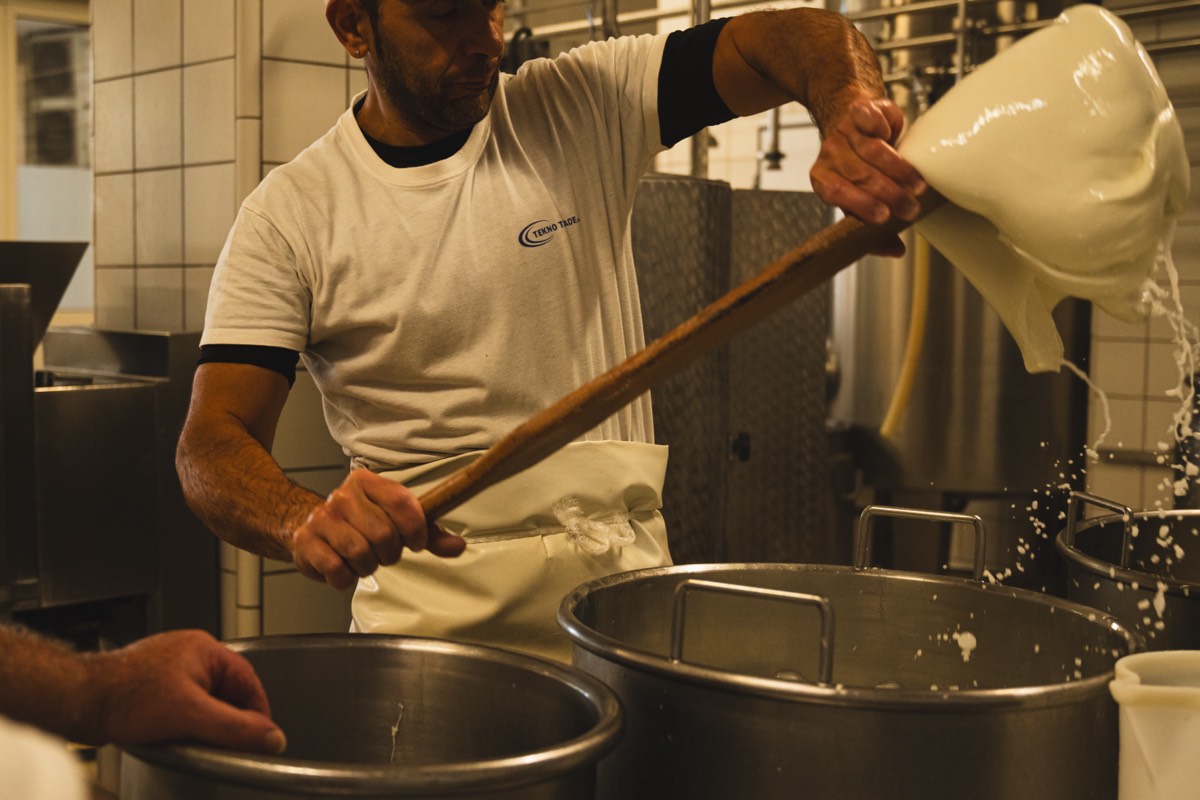 Caseificio Chiatante