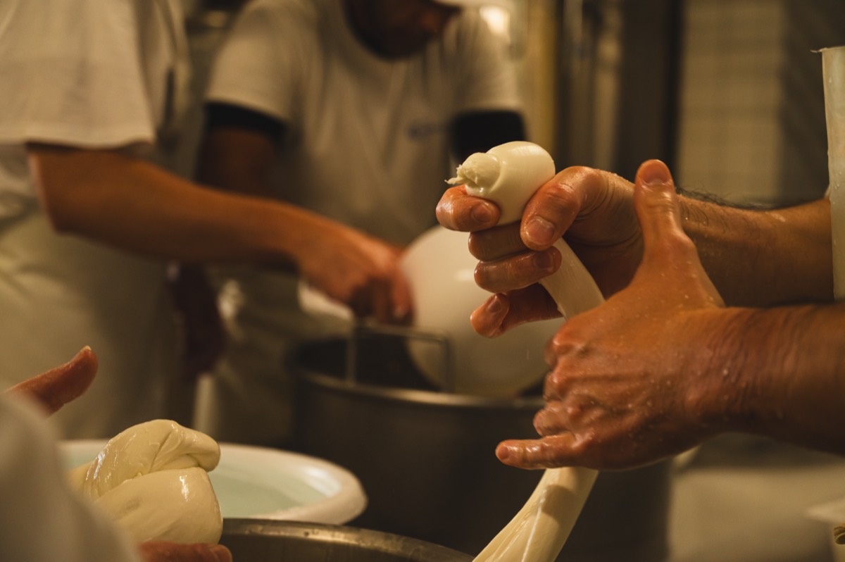 Caseificio Chiatante