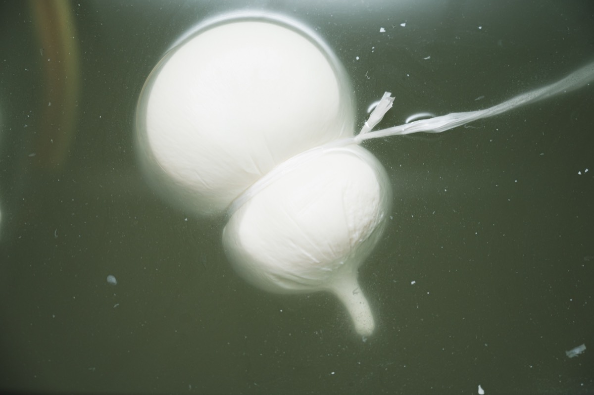 Caseificio Chiatante