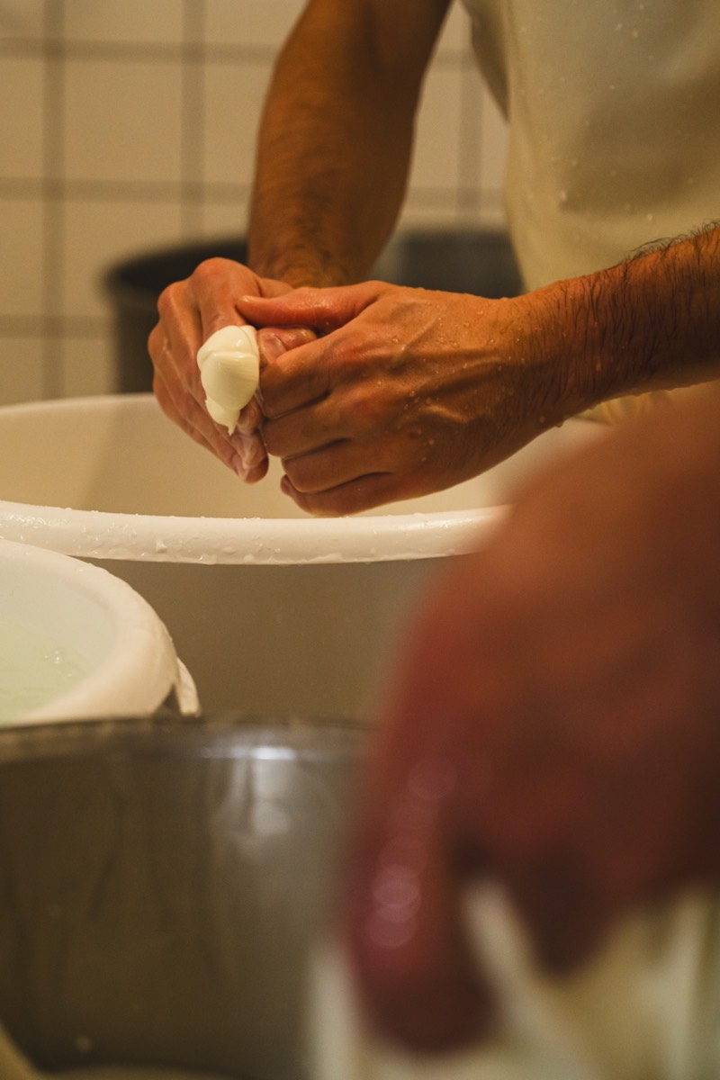 Caseificio Chiatante