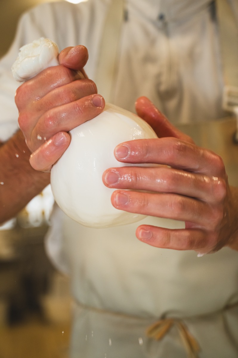 Caseificio Chiatante