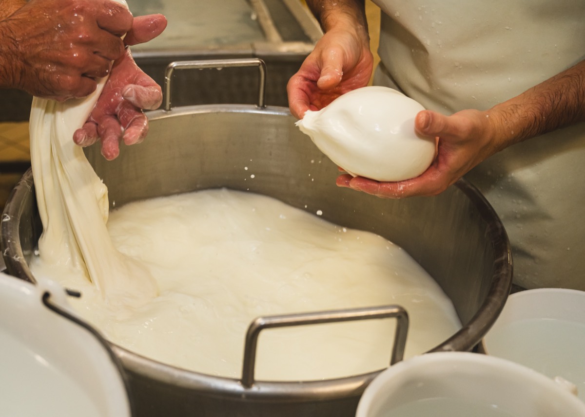 Caseificio Chiatante