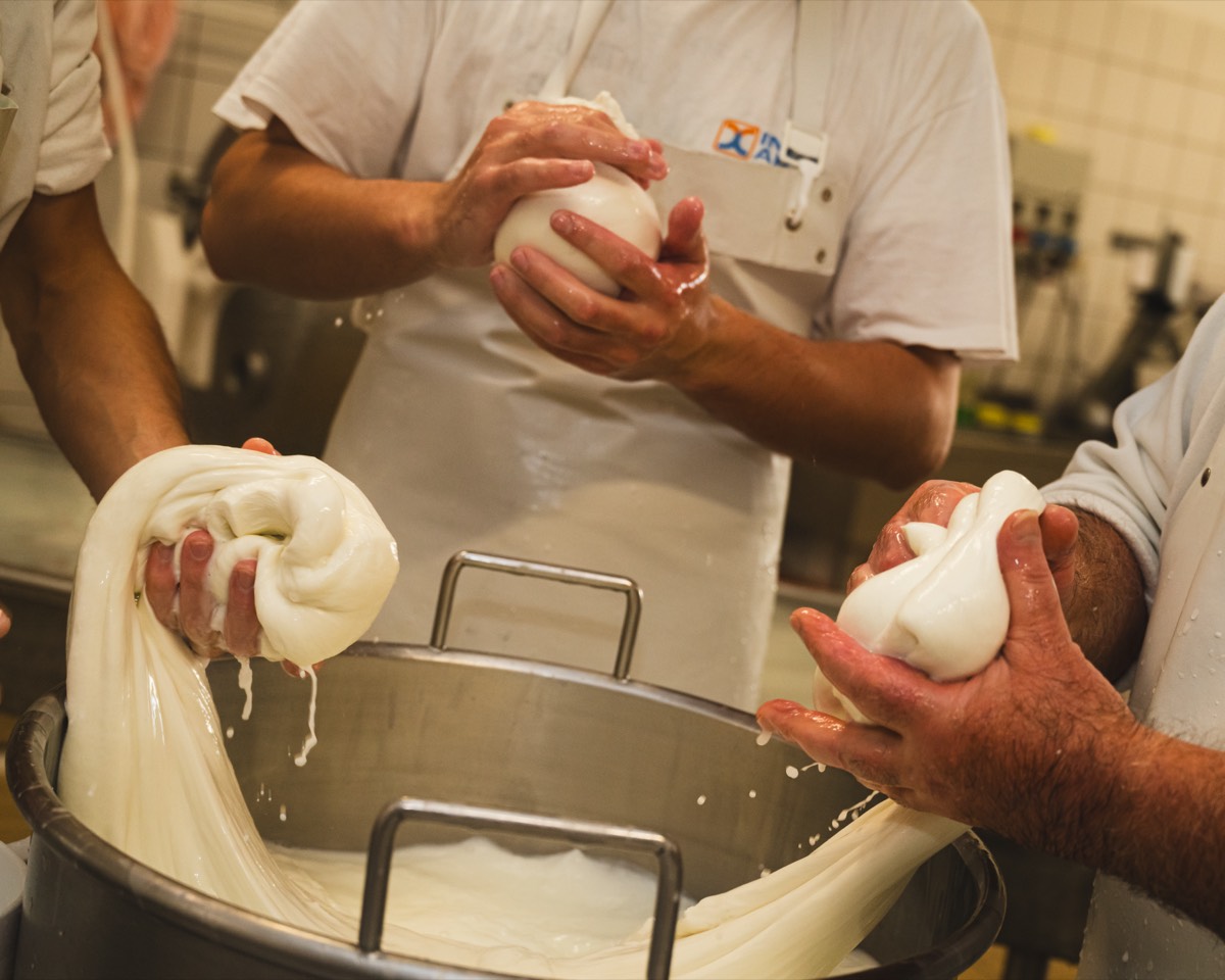 Caseificio Chiatante